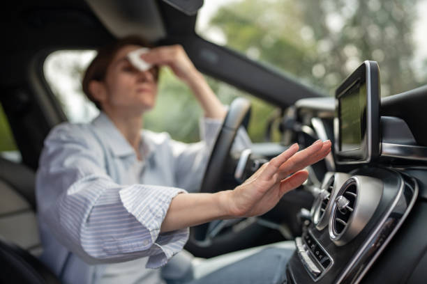 Best Central Air Repair  in San Felipe, TX